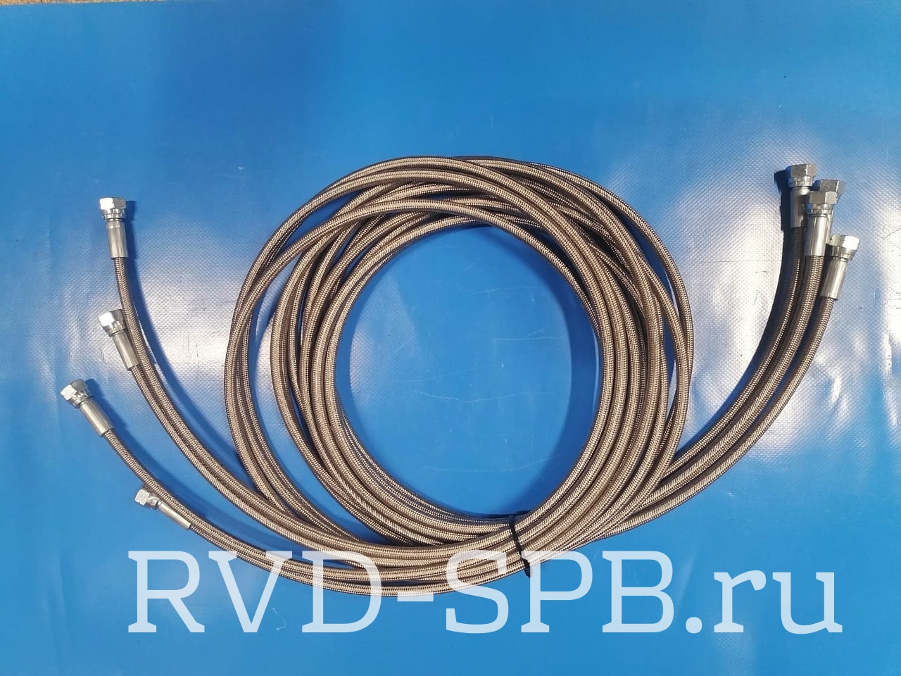  () (PTFE)    